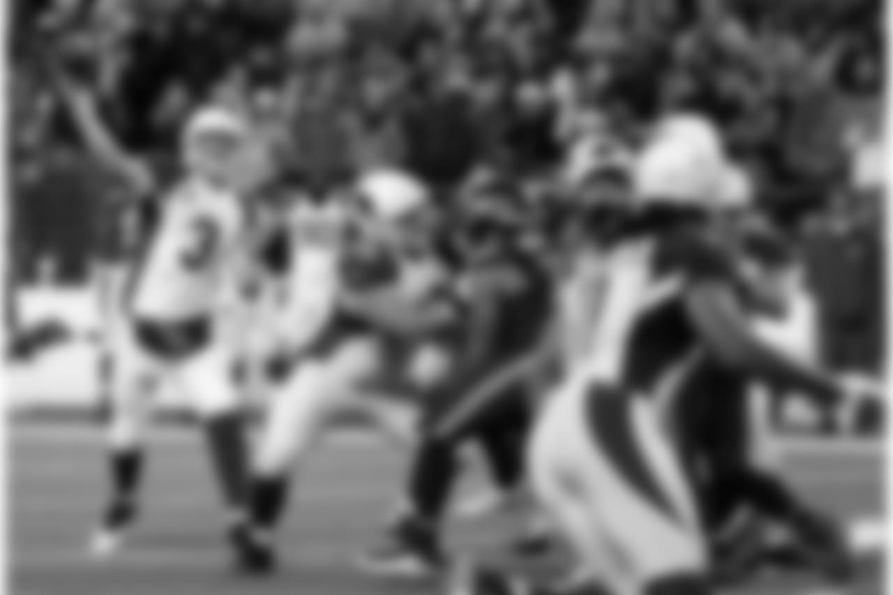 Palmer looks for Fitz in Seattle this season