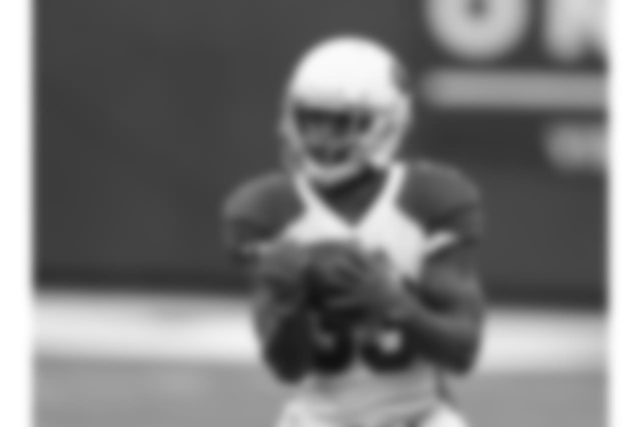 RB Kerwynn Williams: 10 catches, 93 yards