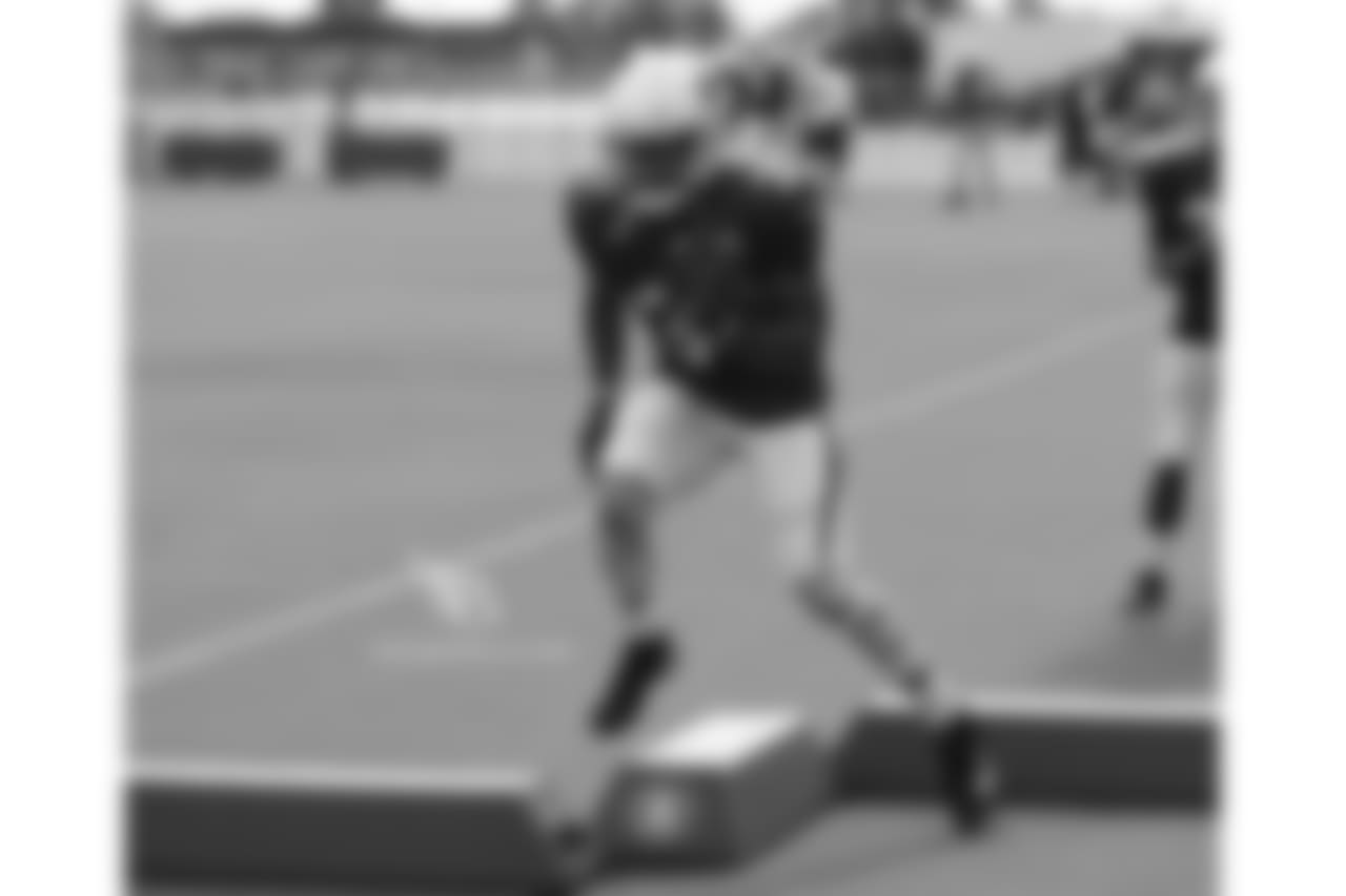 RB David Johnson