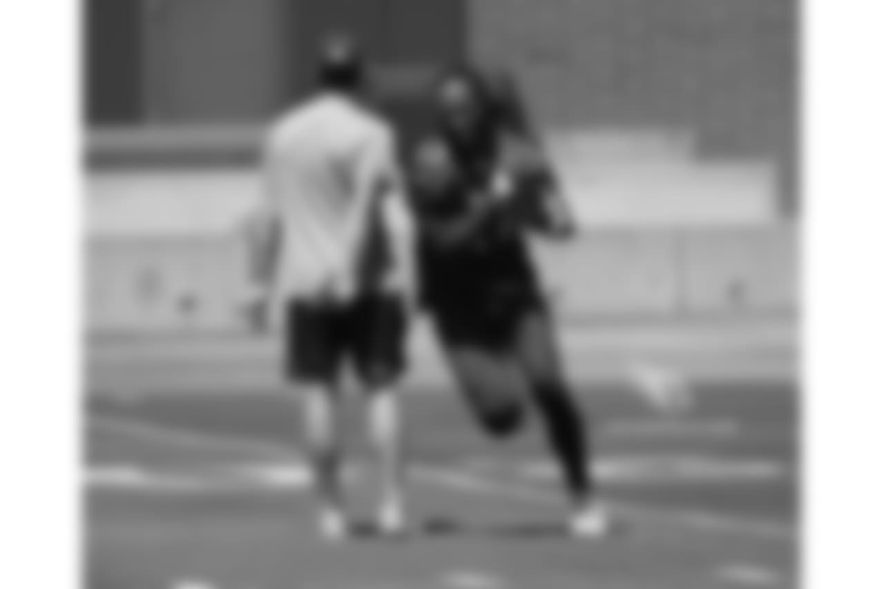 WR Larry Fitzgerald