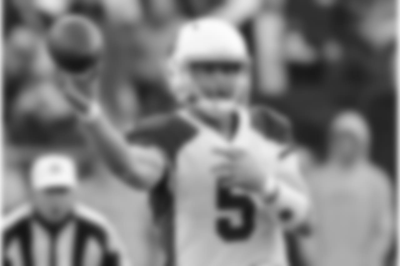 Cardinals QB Drew Stanton