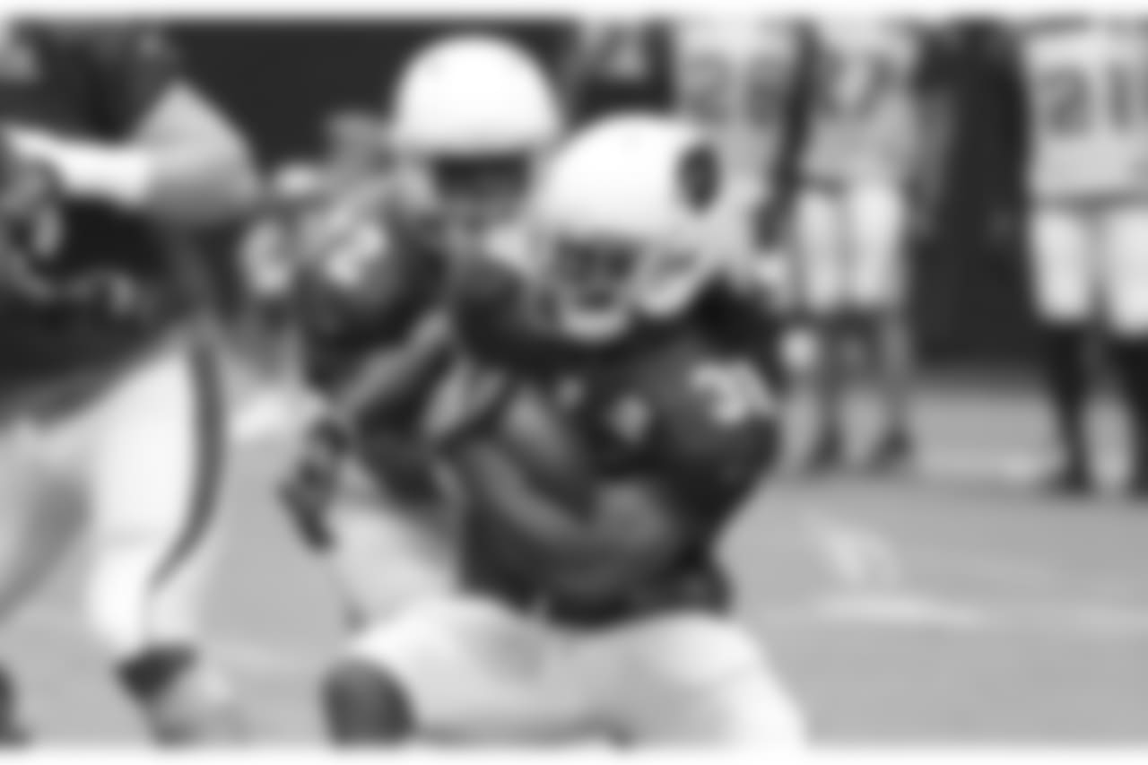 RB Andre Ellington