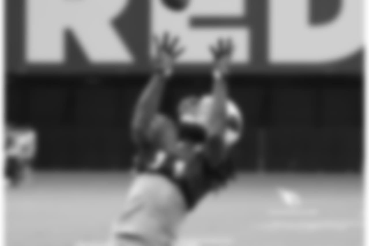 WR Larry Fitzgerald catches a pass
