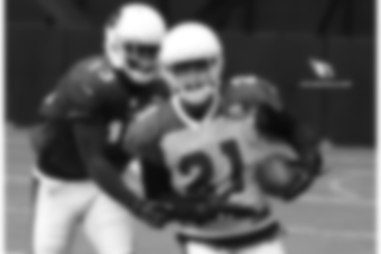 CB Patrick Peterson picks off a pass