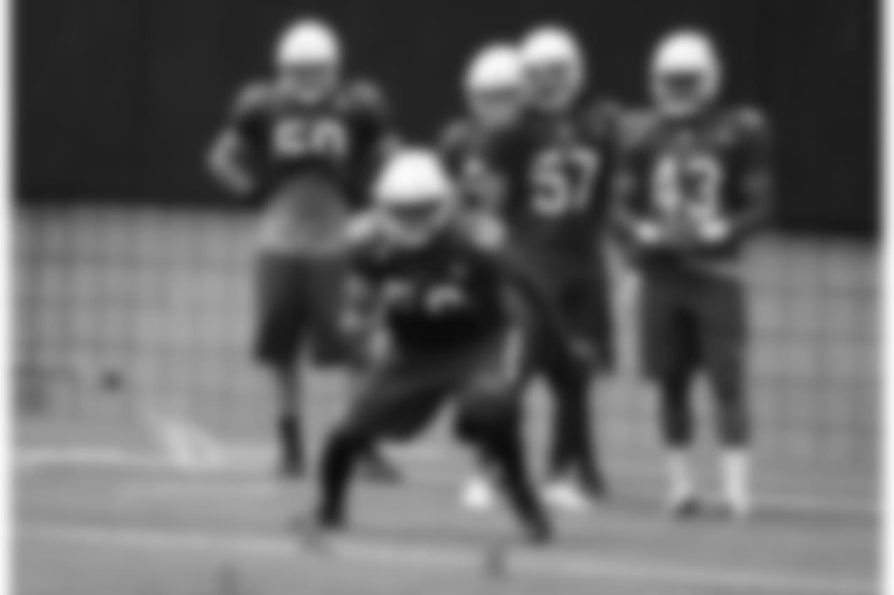 LB Karlos Dansby
