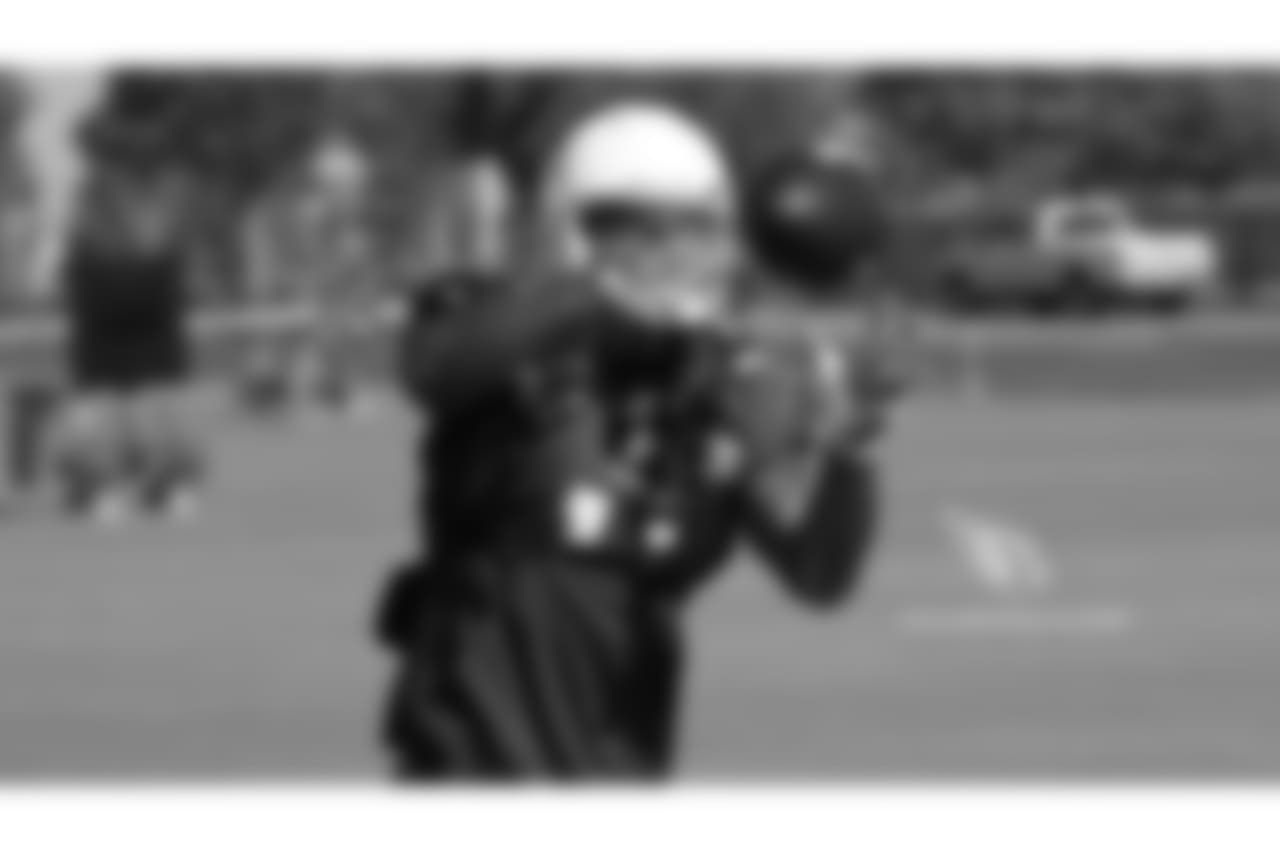 WR Larry Fitzgerald