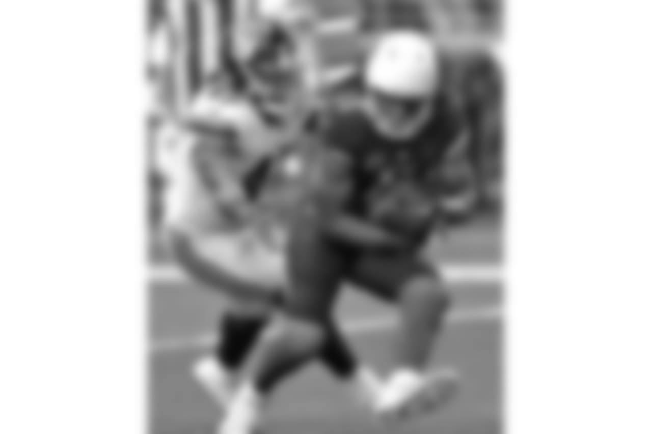 Cardinals WR Larry Fitzgerald makes the catch