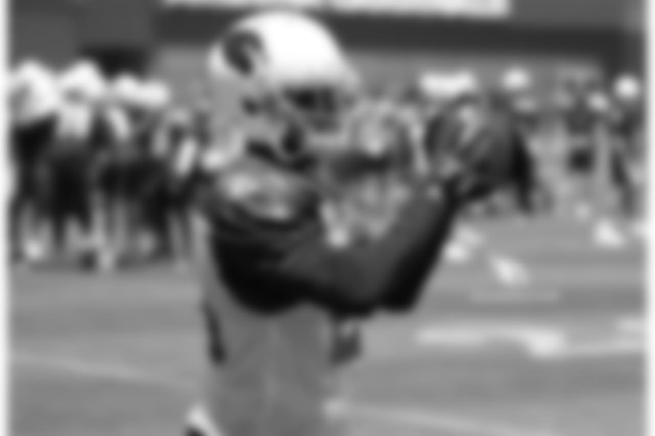 CB Patrick Peterson