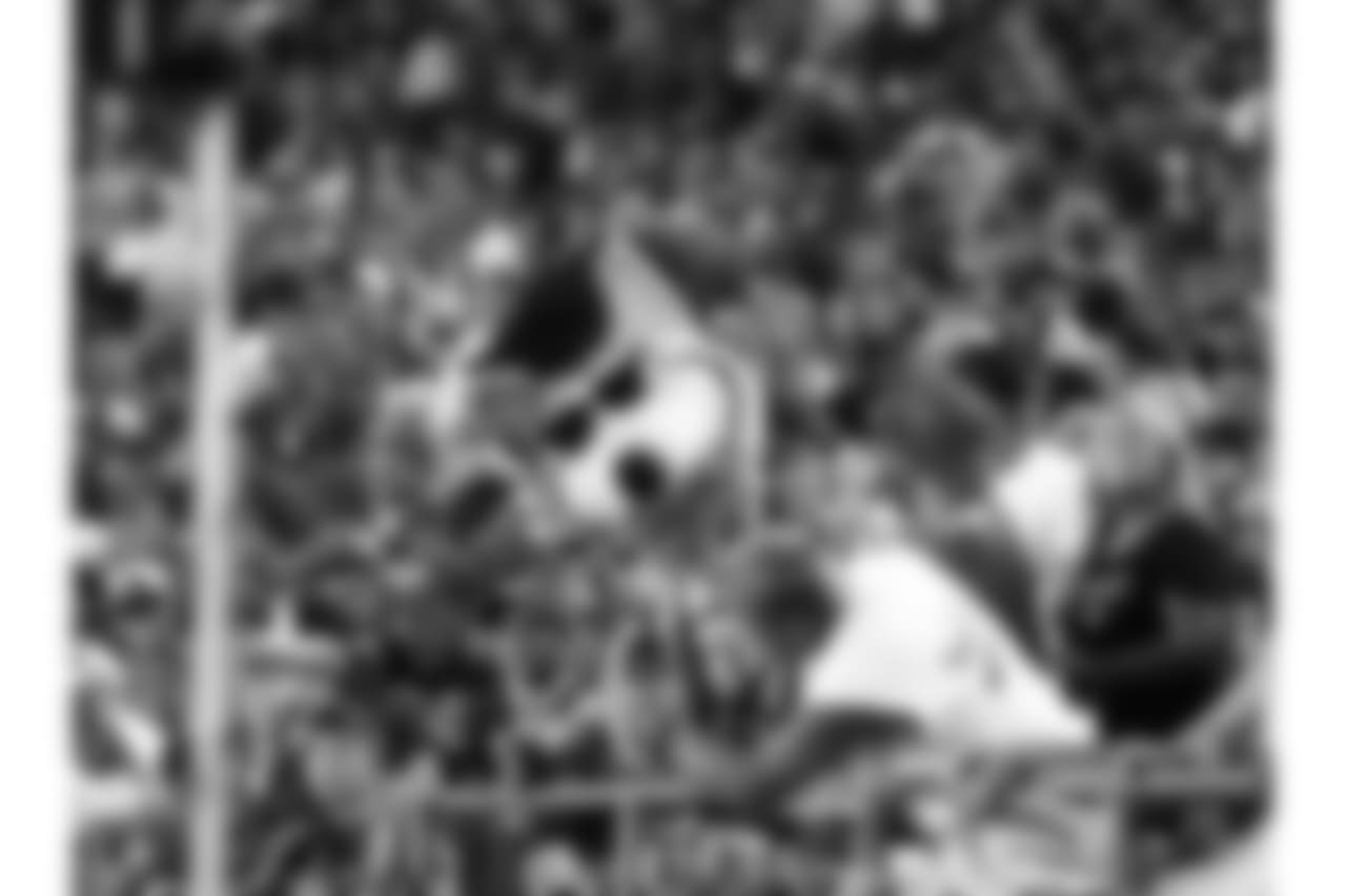 KC Wolf during Texans at Chiefs at Arrowhead Stadium on 8/9/18.