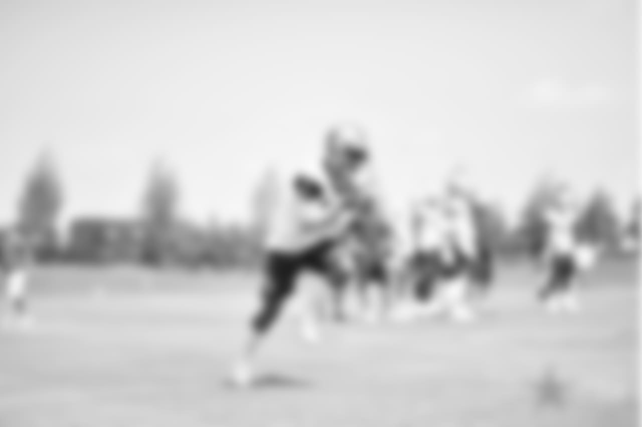 20170615_mini_camp_terrance_williams_selects_jj10755.jpg