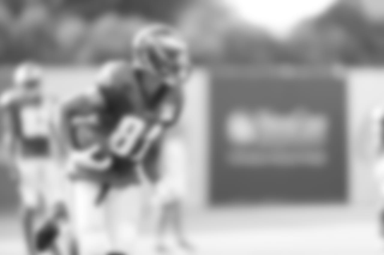 WR Jordan Matthews