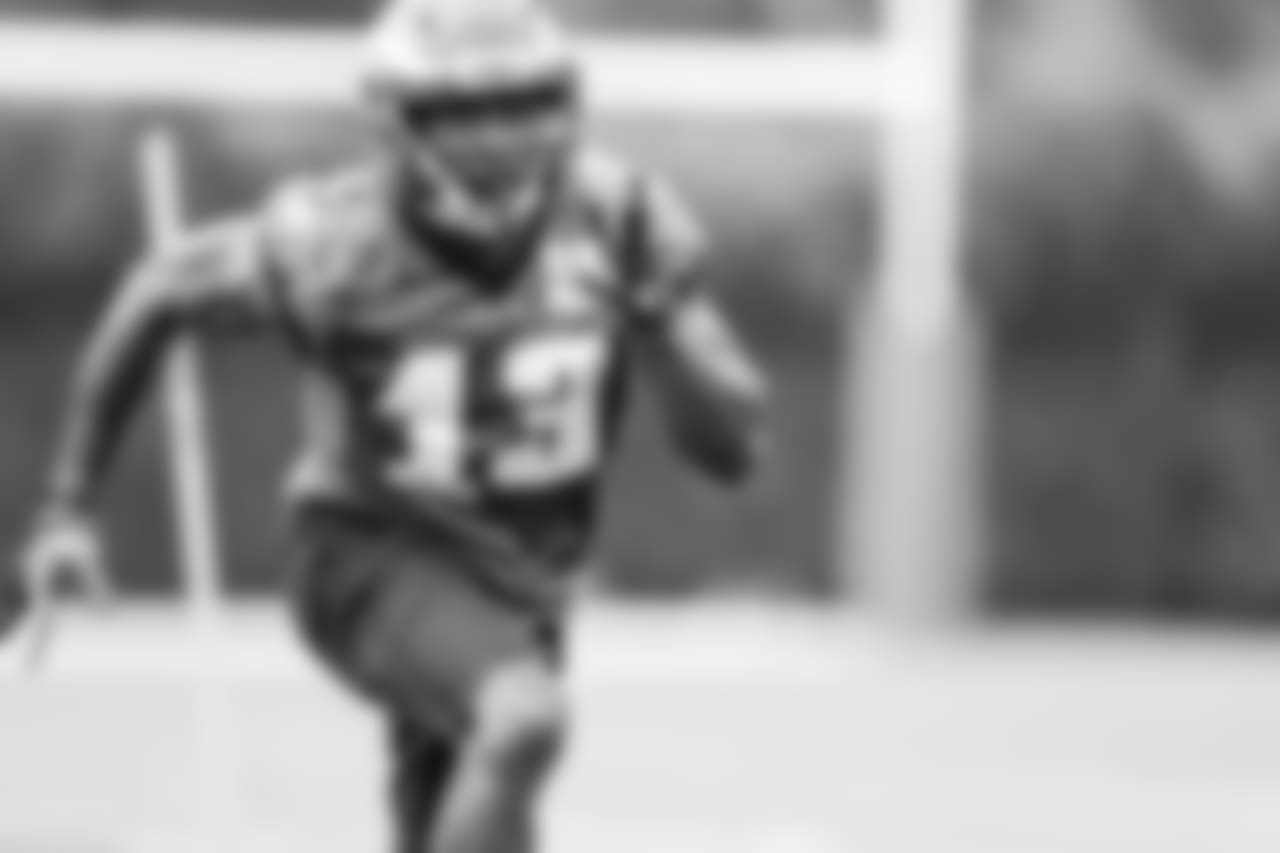 WR Nelson Agholor