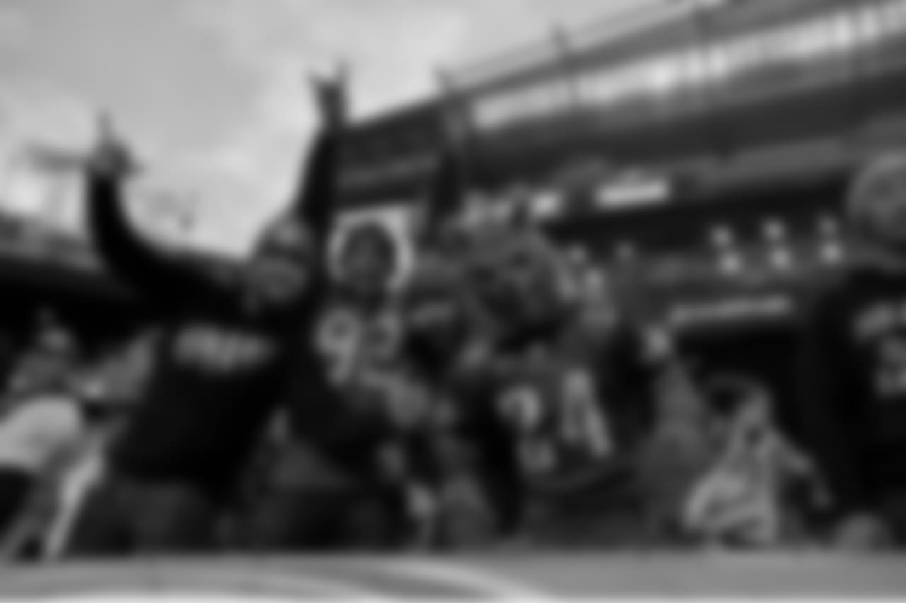 We've got dogs and wolves at Lincoln Financial Field tonight