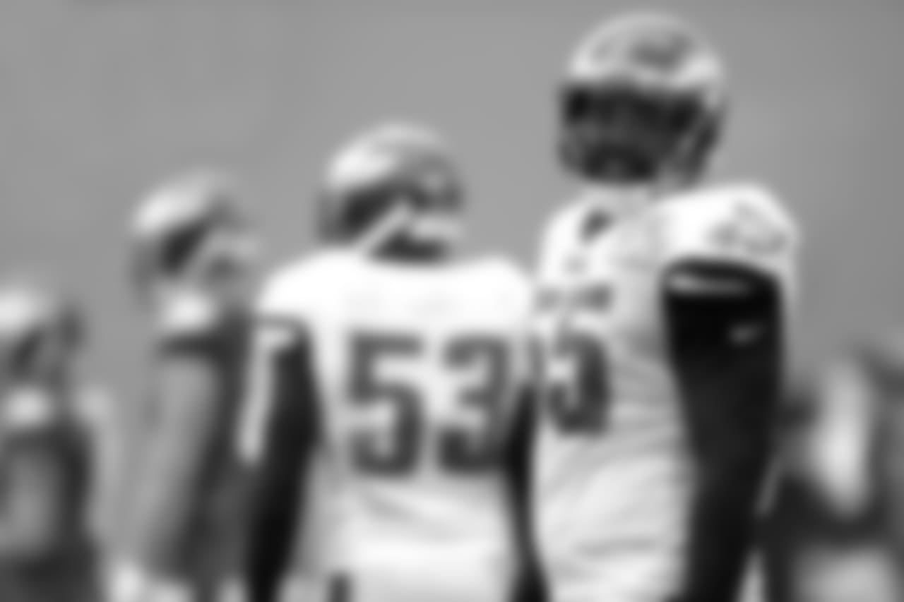 DE Brandon Graham