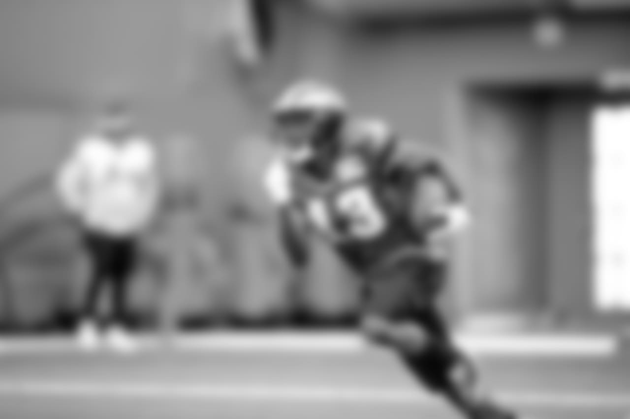 WR Nelson Agholor