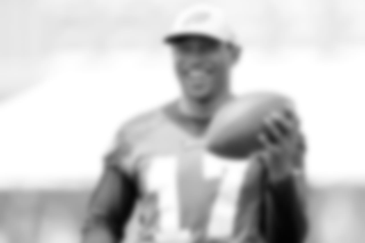 WR Alshon Jeffery