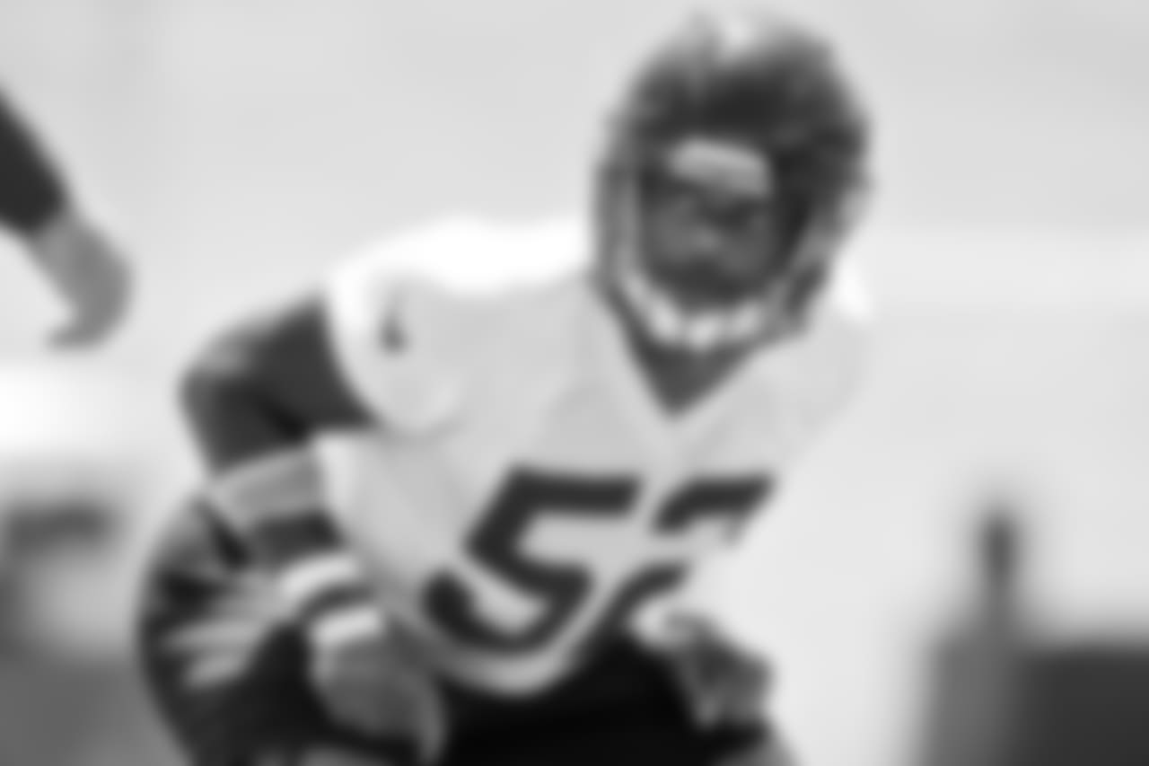 LB Emmanuel Ellerbee