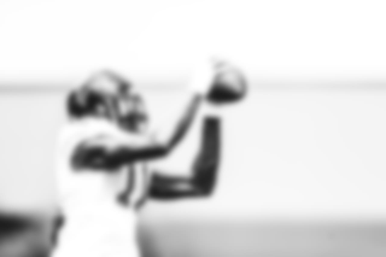 WR Julio Jones