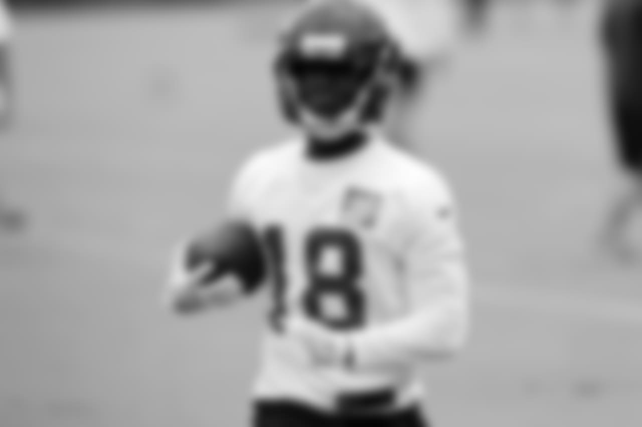 WR Calvin Ridley