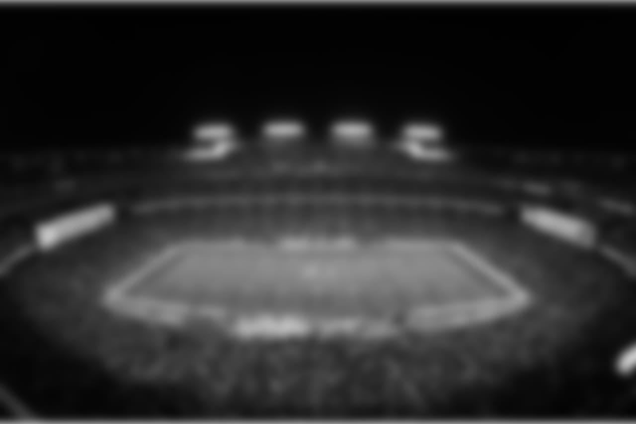 FedEx Field - Washington Redskins(AP Photo/Matt Patterson)
