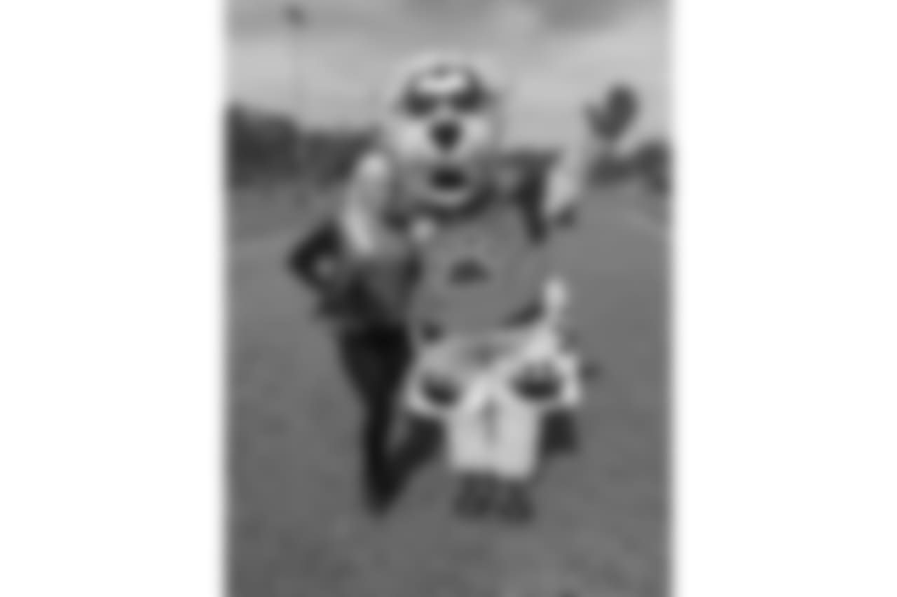 Gingerimage6