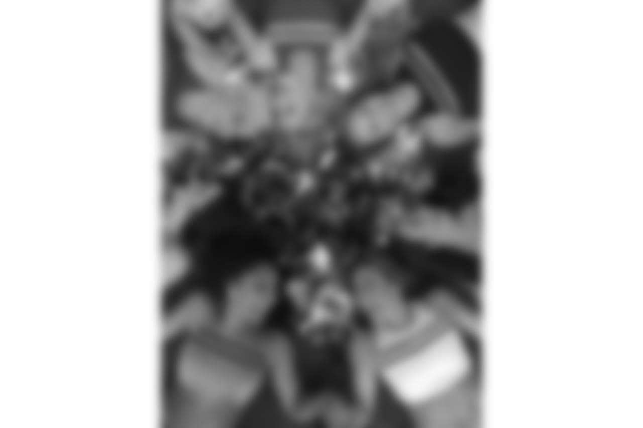 Gingerimage1.jpegcopy