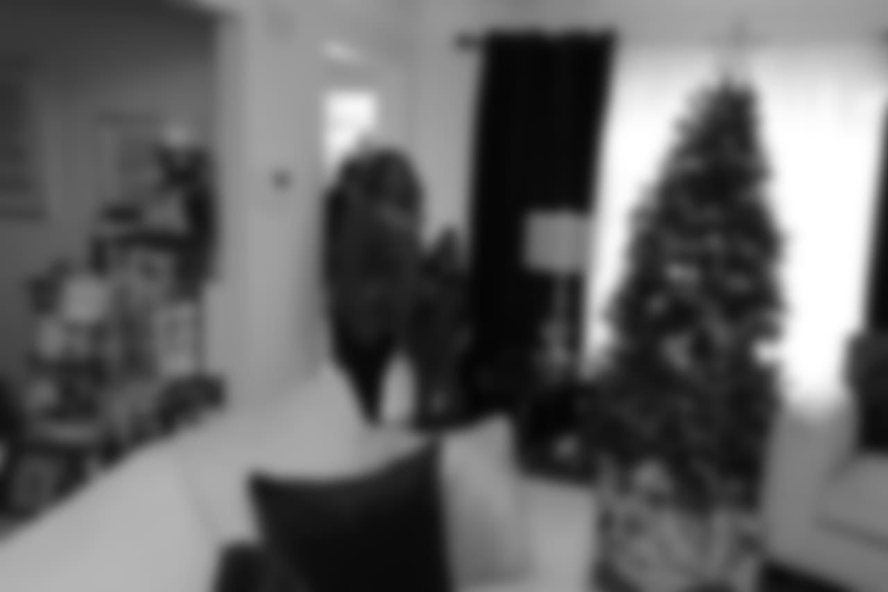 Homes for the Holidays