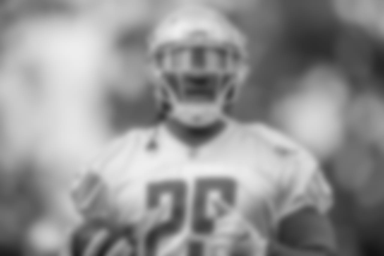 Detroit Lions running back LeGarrette Blount (29) during an minicamp practice at the Detroit Lions training facility on Wednesday, June 6, 2018 in Allen Park, Mich. (Detroit Lions via AP)