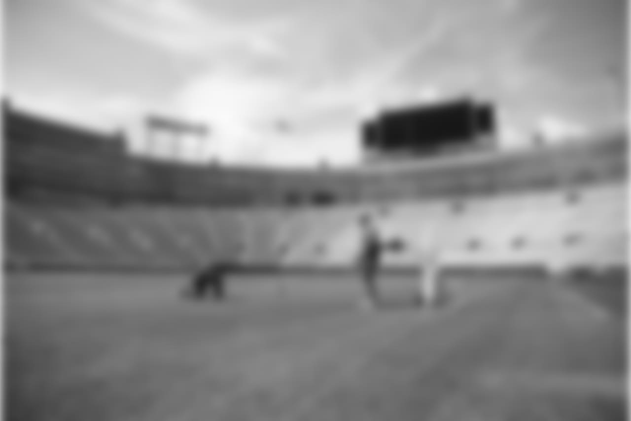 180808-lambeau-field-painting-12