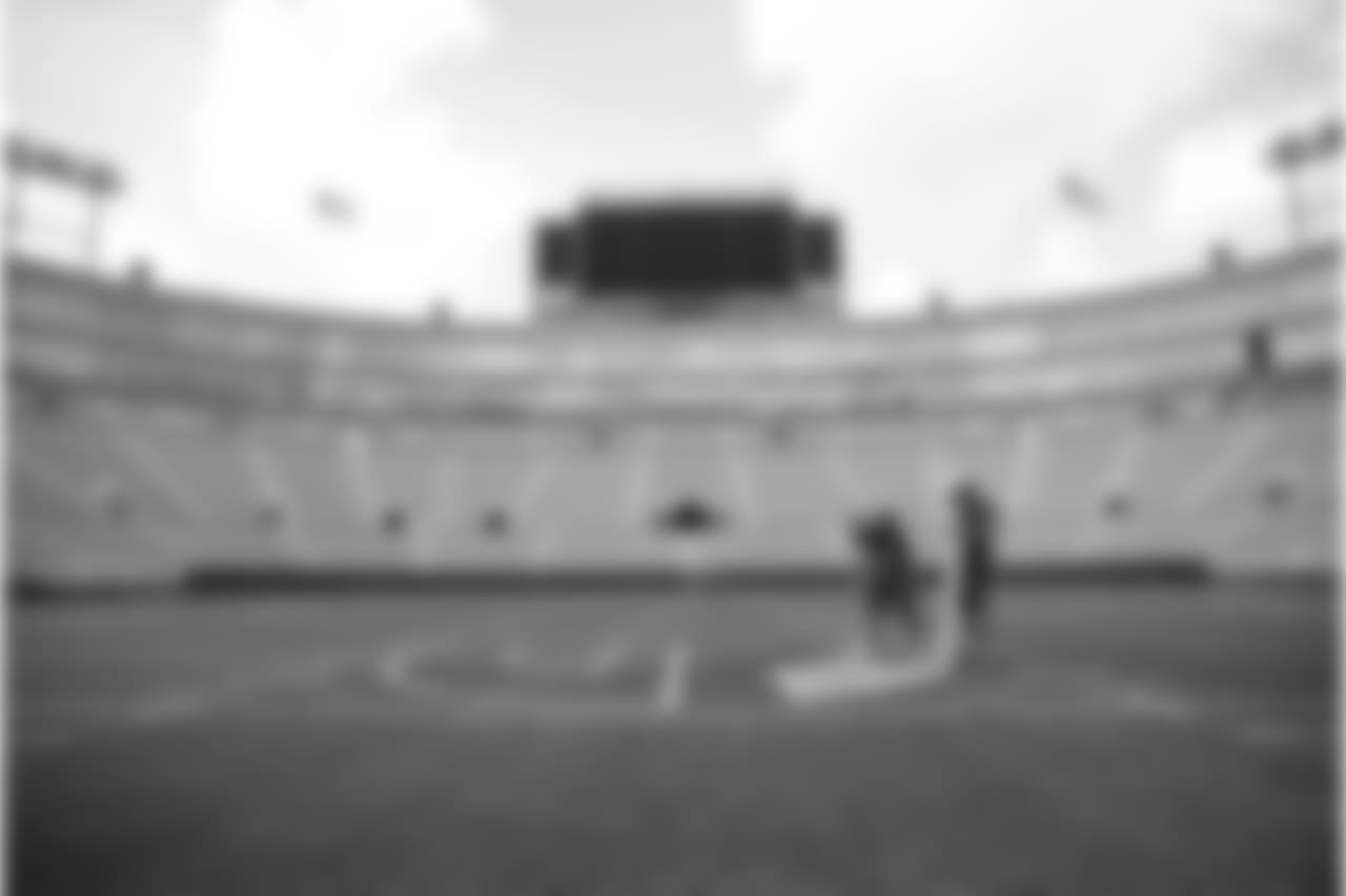 180808-lambeau-field-painting-09