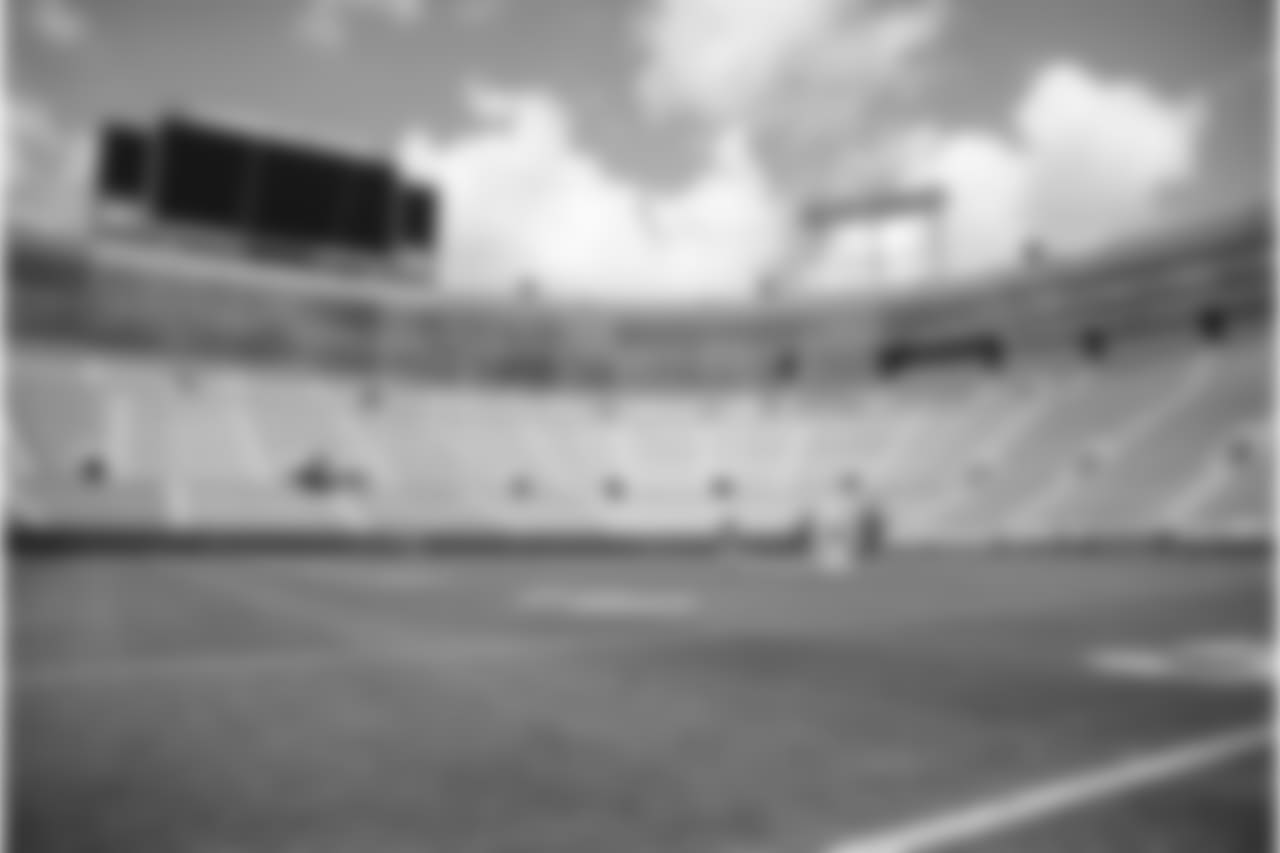 180808-lambeau-field-painting-02