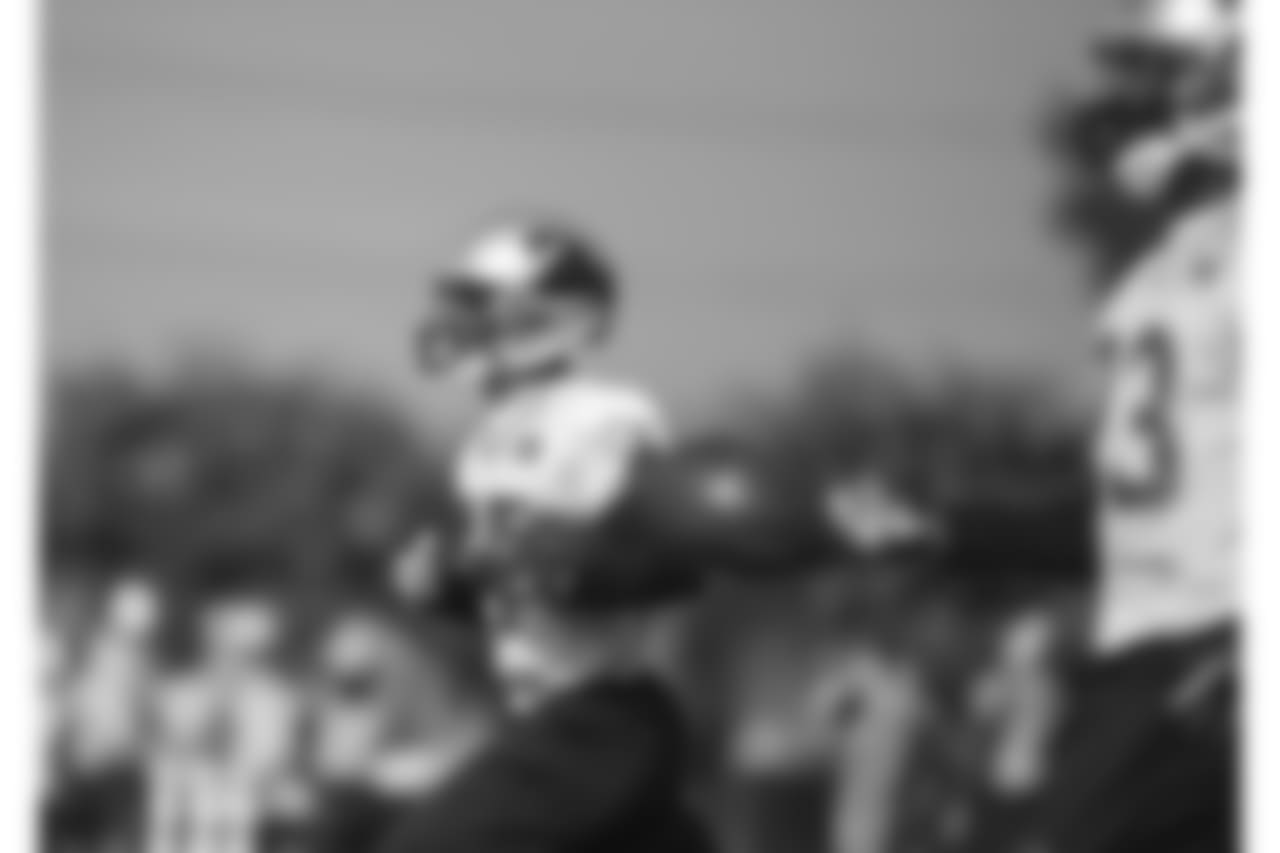 Day three of Panthers' mandatory Minicamp on Wednesday, June 13, 2018 at Bank of America Stadium in Charlotte, NC.