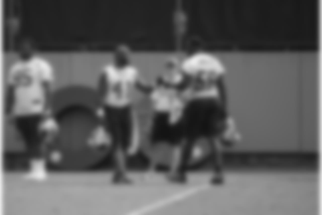 Day two of Panthers' mandatory Minicamp on Wednesday, June 13, 2018 at Bank of America Stadium in Charlotte, NC.