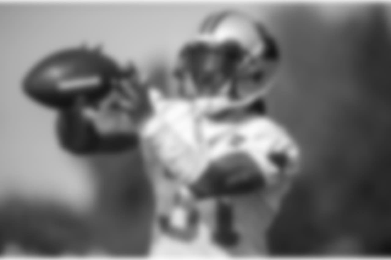 Day three of Panthers' mandatory Minicamp on Wednesday, June 13, 2018 at Bank of America Stadium in Charlotte, NC.