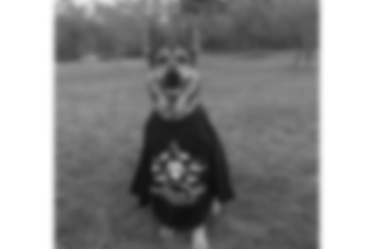 20171030-david-andrews-instagram.jpg