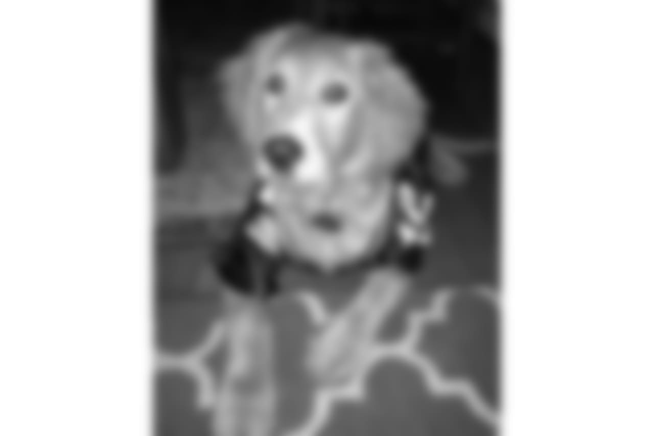 29401725_969058033257619_9180038728825962496_n.jpg