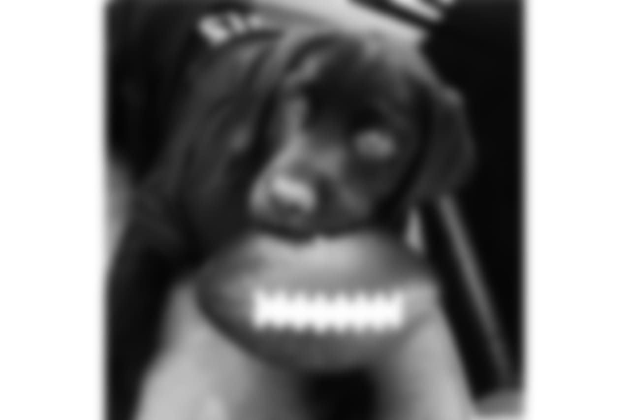 21442921_1724736374222904_1077666040_n.jpg