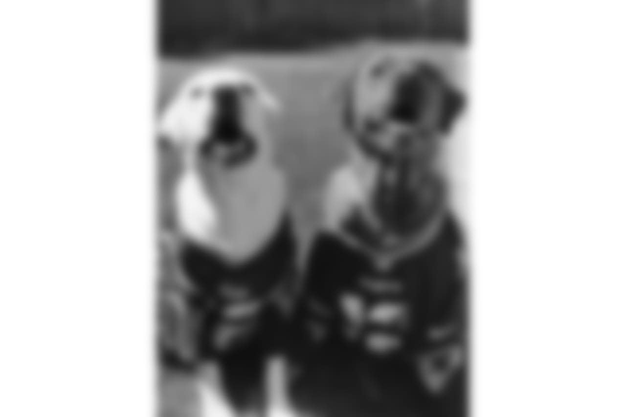 21697934_10214263099197180_2074853769_n.jpg