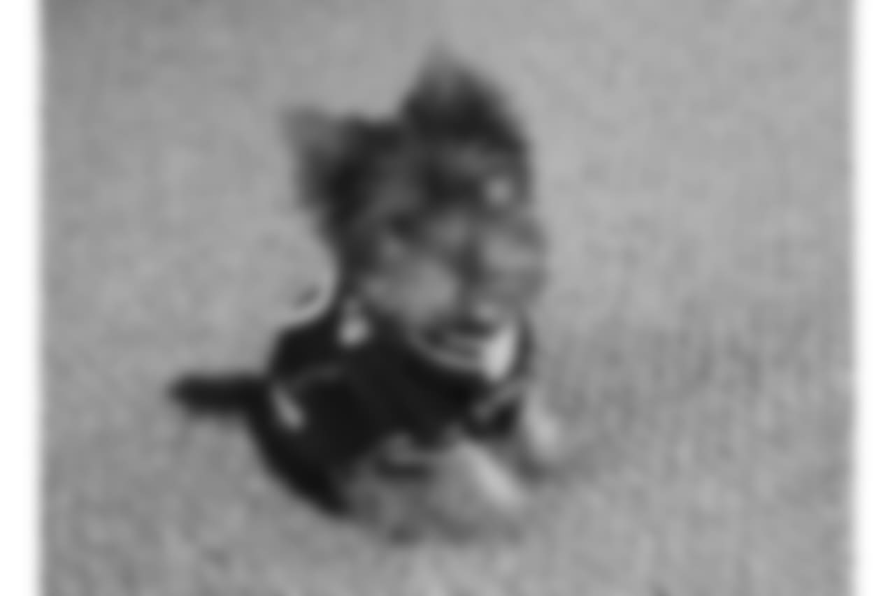 21013491_10210301316353698_891827818_n.jpg