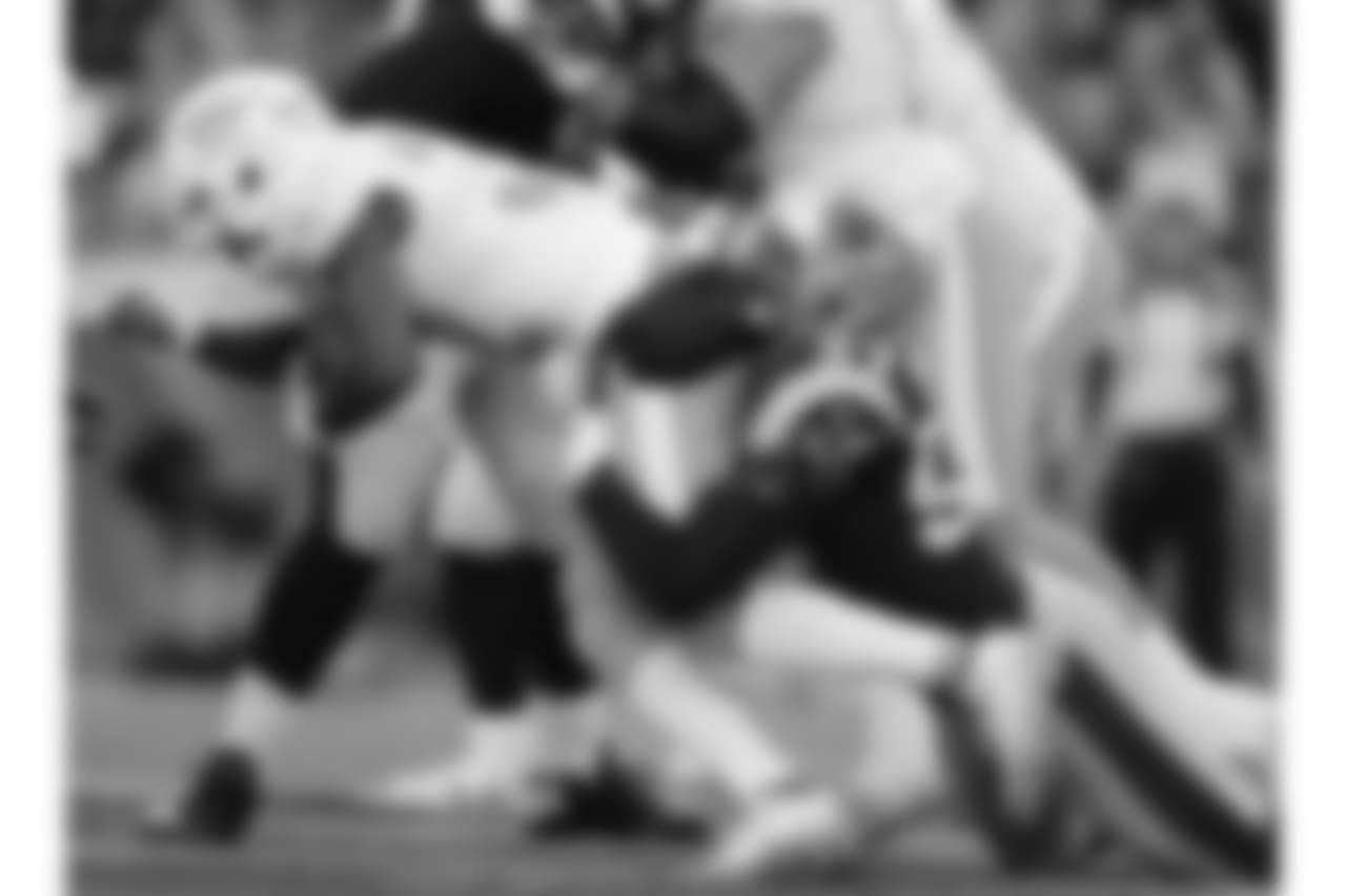 20171126_dolphins_silverman440.jpg