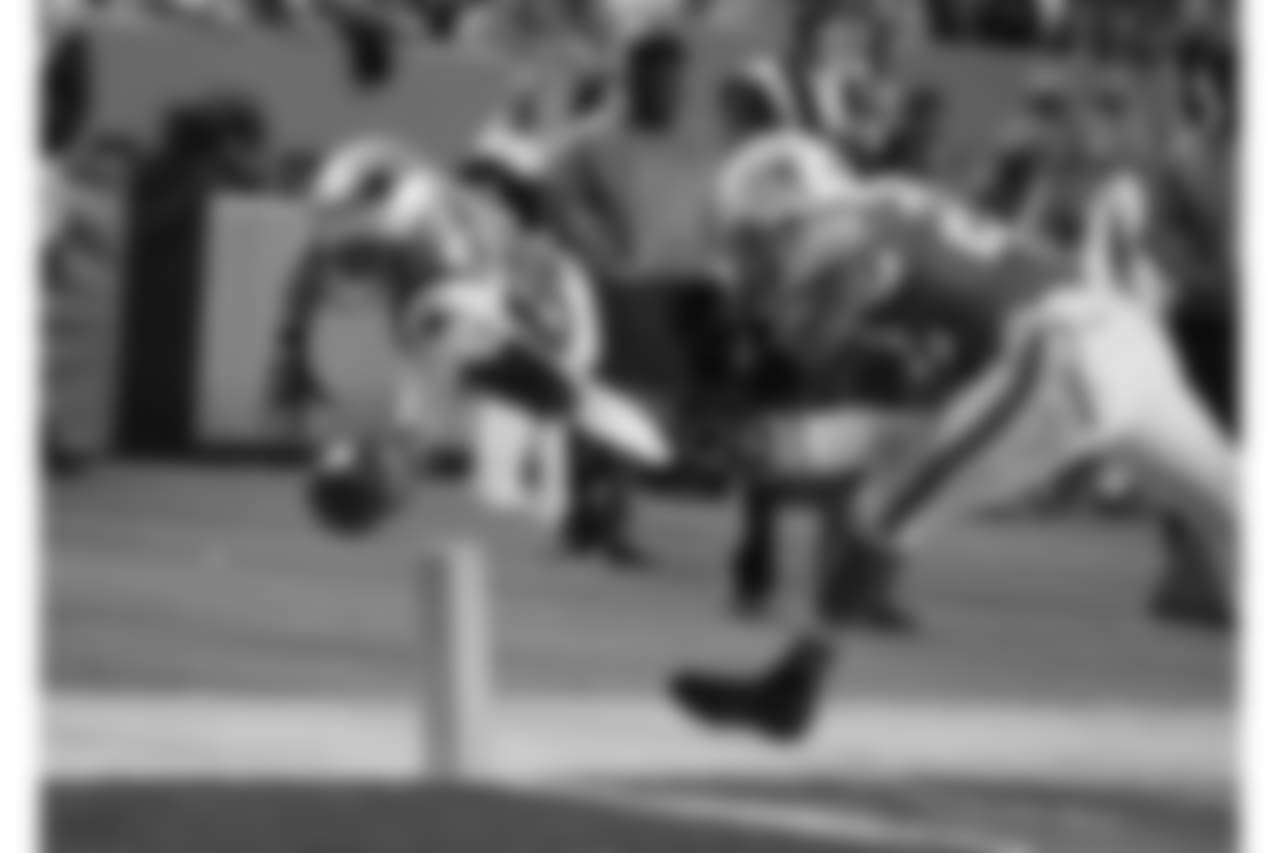 20171211_dolphins_silverman689.jpg