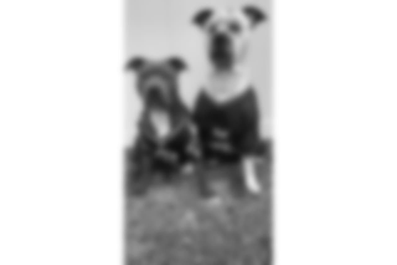 53270_8_4154912438