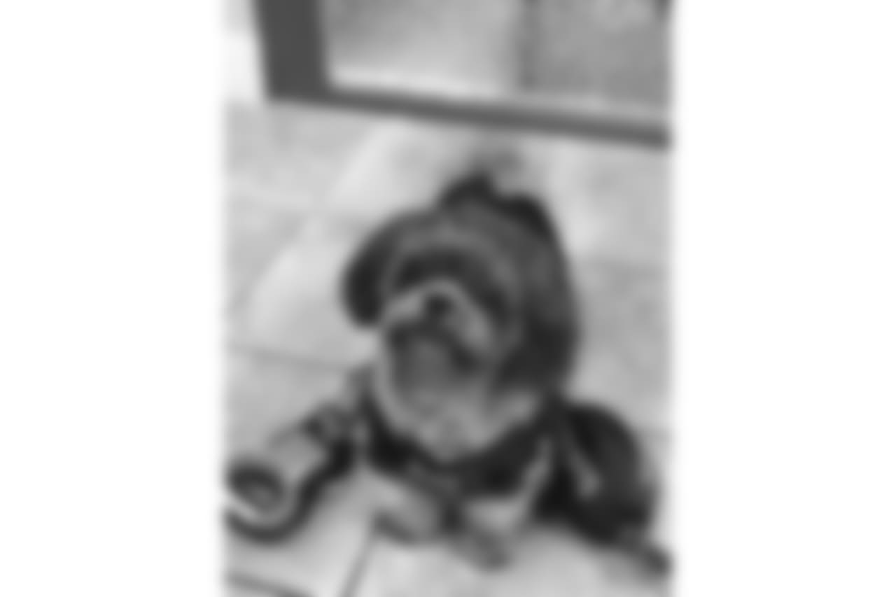 lq7hih.jpeg