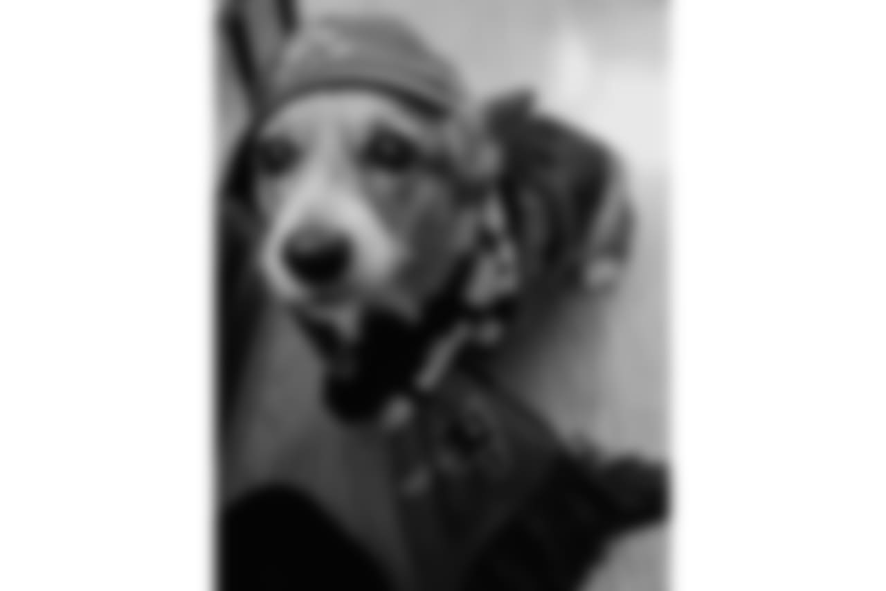 53270_8_3110548069.jpg