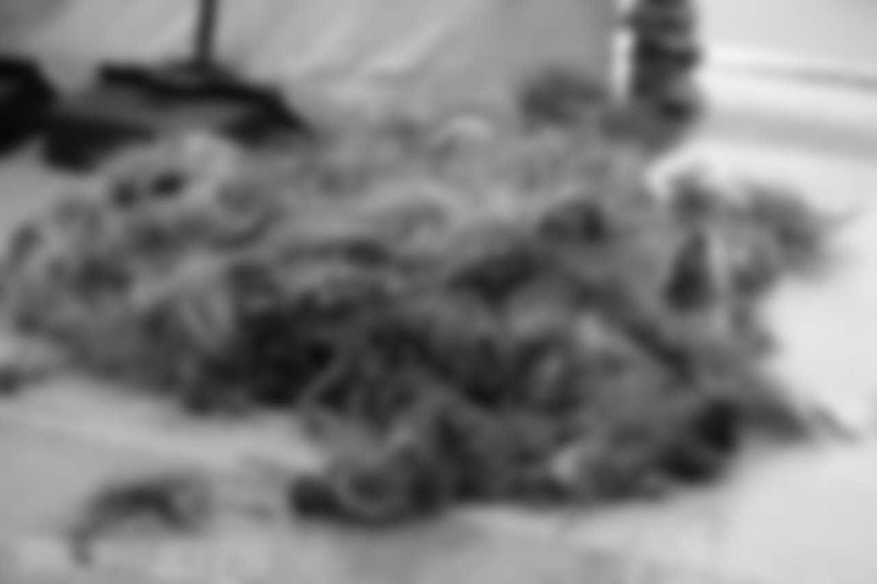 060318-BuzzOff_EJA054-watermarked