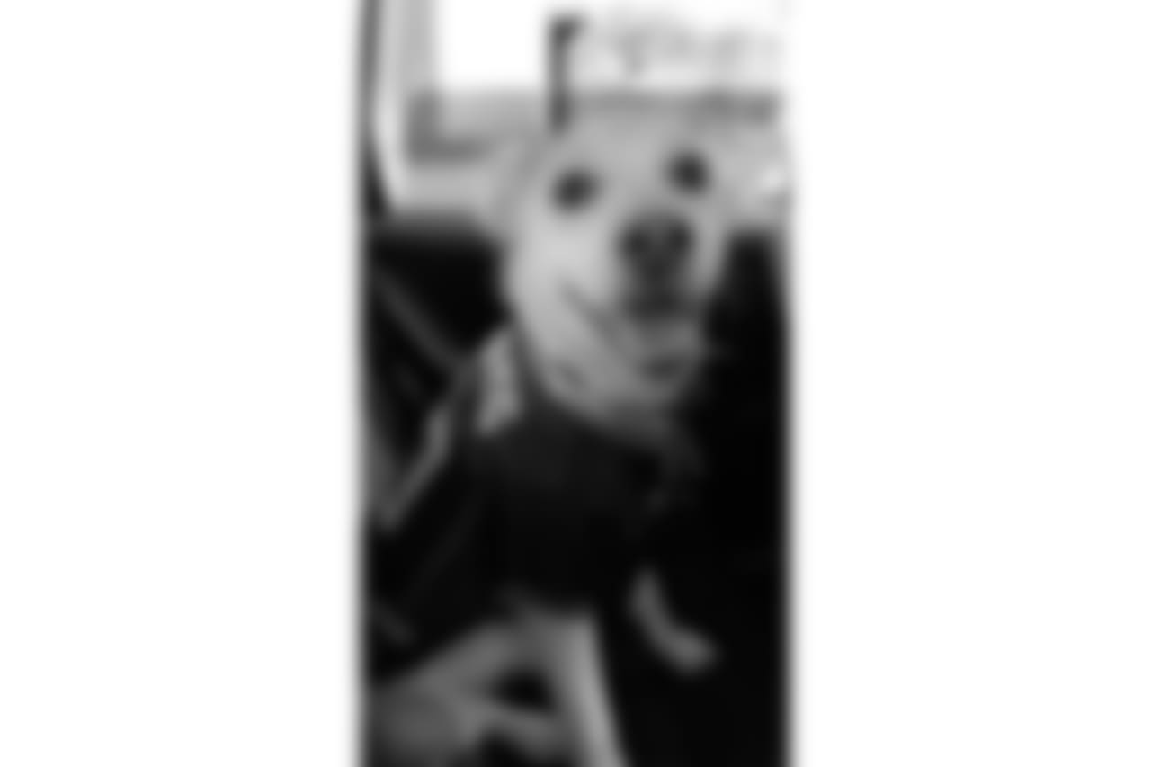 53270_8_1403831746.jpg