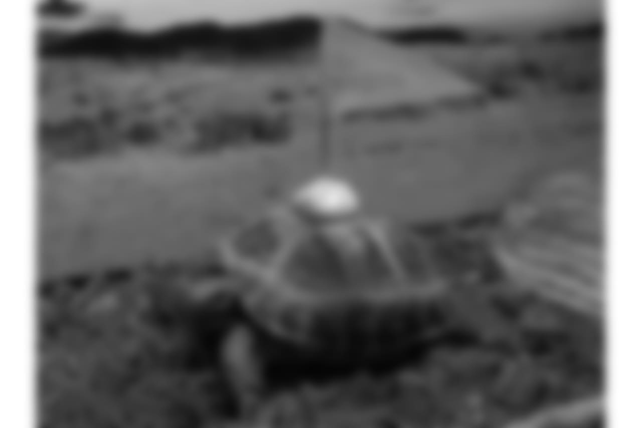 53270_8_4046548201.jpg