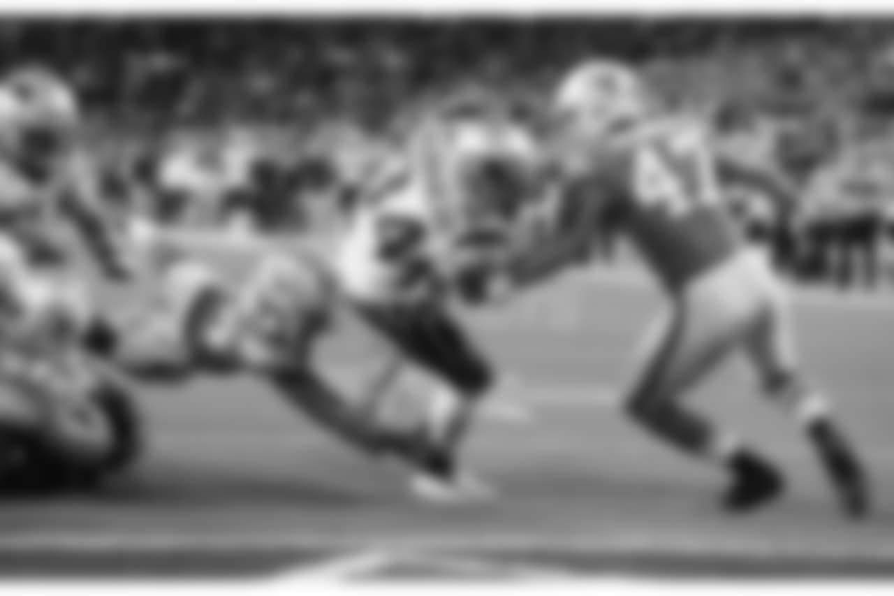 20171211_dolphins_silverman683.jpg