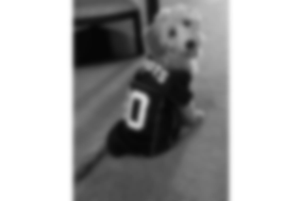 21322927_10154733915507385_1108050516_n.jpg