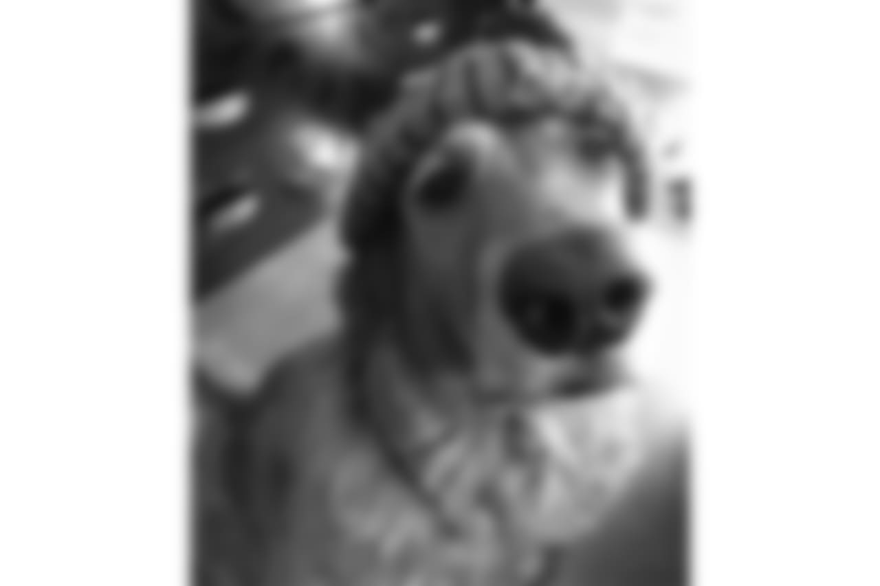 24178096_717491971779170_5182354706684444672_n.jpg